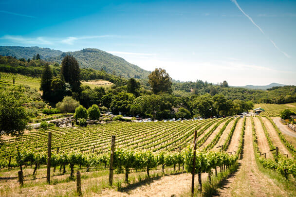Paysage agricole Paysage agricole